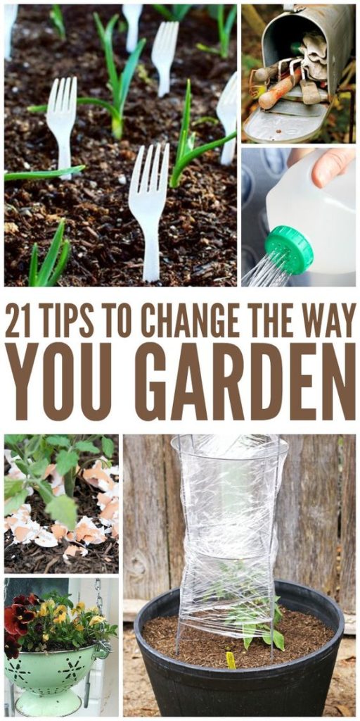 Gardening Hacks 14 DIY Home for You